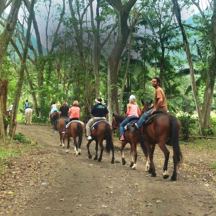 A group is guided on horseback