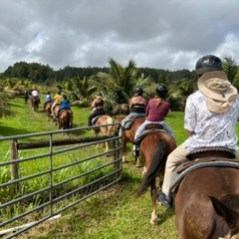 a group of people riding on the back of a horse
