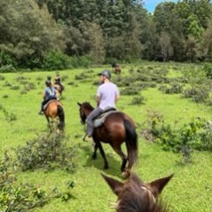 a man riding a horse in a field
